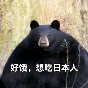 赵昊玩游戏 头像