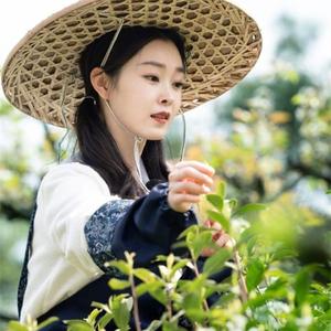 乔姐聊美食 头像
