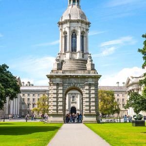 热心艺术家sCv 头像