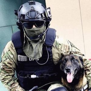 空降慢羊羊 头像