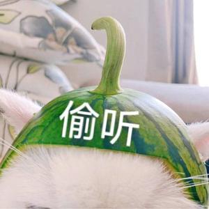 铭崽跑丢了 头像