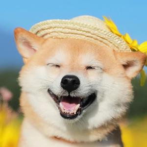 一个有故事的账号 头像