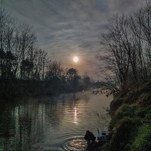 阳光下的小水鸟 头像