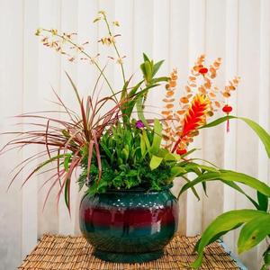 5号观察员 头像