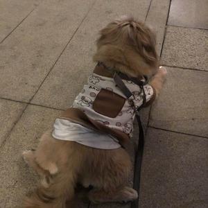 智者光束49 头像