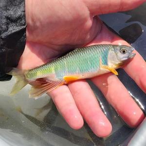 从古至今邪不胜正 头像