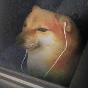 KC丶13 头像