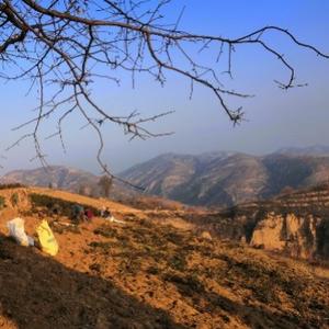 那个平凡的纪实者 头像