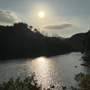 散步的木瓜28 头像