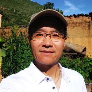 大理小院陶华 头像