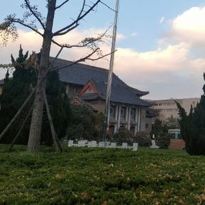 指月之手见月可弃 头像