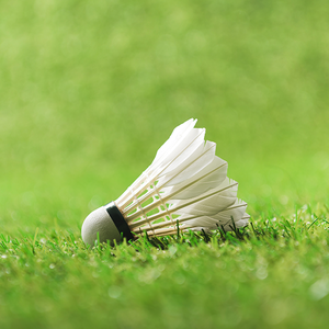 快乐桃子4I9 头像