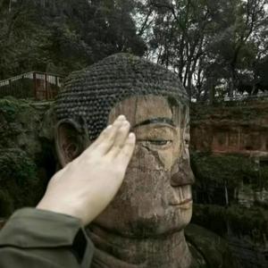 Don 头像
