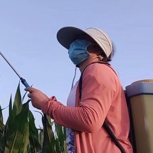 农村闲老太 头像