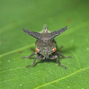 十万个是什么 头像