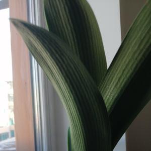 精彩一幕分享 头像