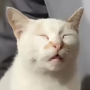 90后北漂王同学 头像