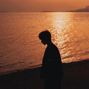 上进的闲鱼 头像