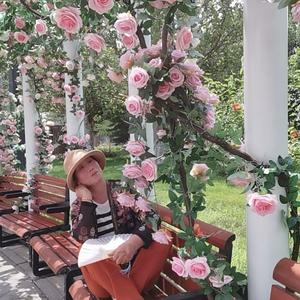 北京农村刘姐 头像