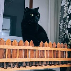 我会跳皮筋 头像