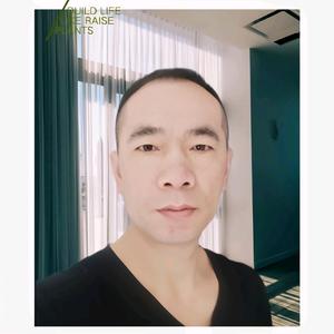 老羊情感故事