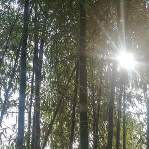 风趣燕教练