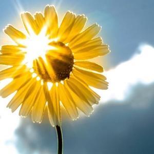 苦中有乐的人生 头像