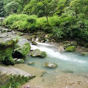 月饼的旅行日常头像