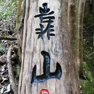 丑石论坛 头像