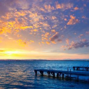 巴掌脸小辛 头像