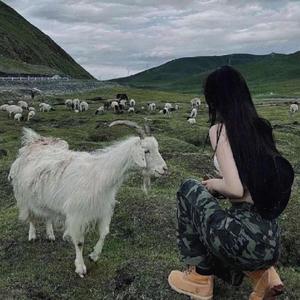 霞霞 头像