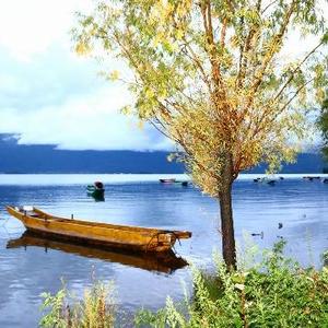 快乐的小白鹅 头像