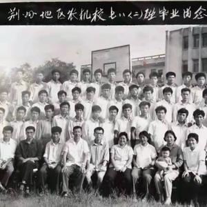 青松论 头像
