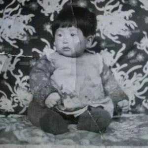 N5825故事大全 头像