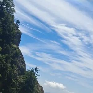 风吹过的正义凛然原野 头像