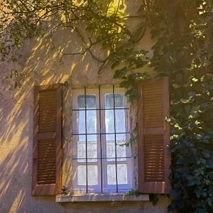 爱生活的萍子 头像