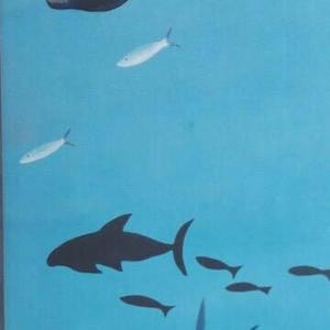 自在的萝卜文案 头像