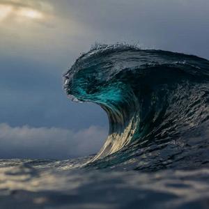 跨境电商鱼哥 头像