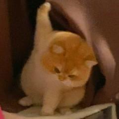 渔浦钓寒江 头像