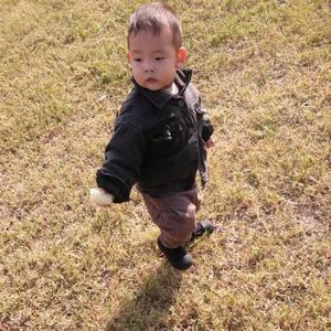 焦杨杨的生活成长录 头像