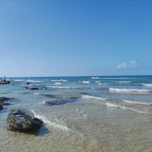 思想知识聚焦 头像