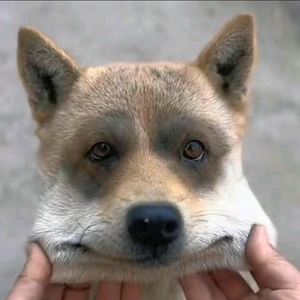 用户4466593014852 头像