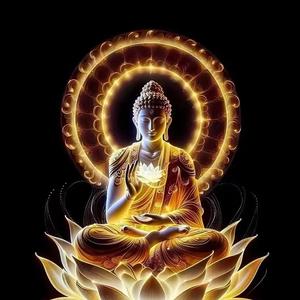 梦虚 头像