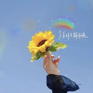 向阳花开头像