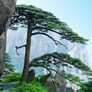 皖行界 头像
