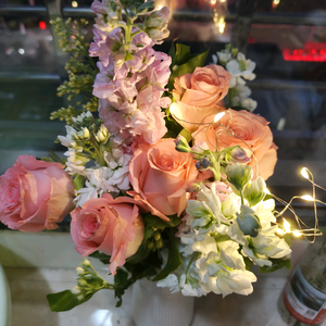 星辰大海Linda 头像