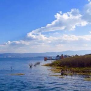 丹佛的漂流瓶 头像