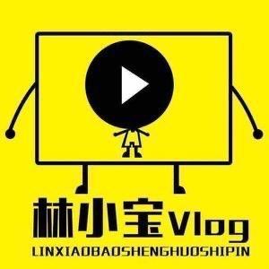 林小宝的负债日记vlog头像