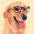 博学多才的时间的微光 头像