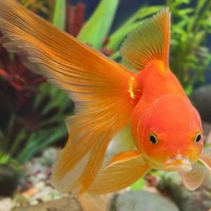 无名的视界 头像